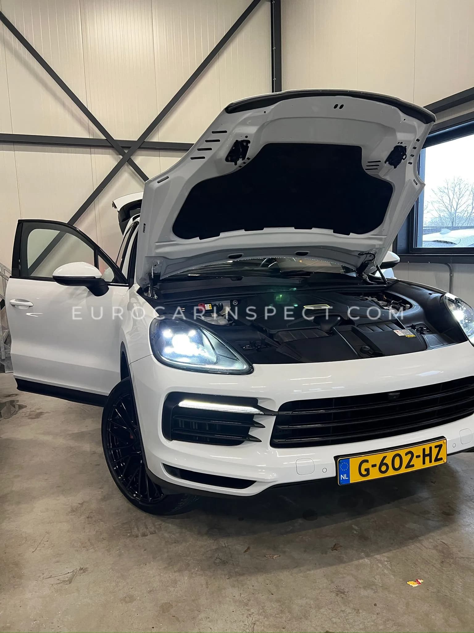 YSSN Quality Check 1